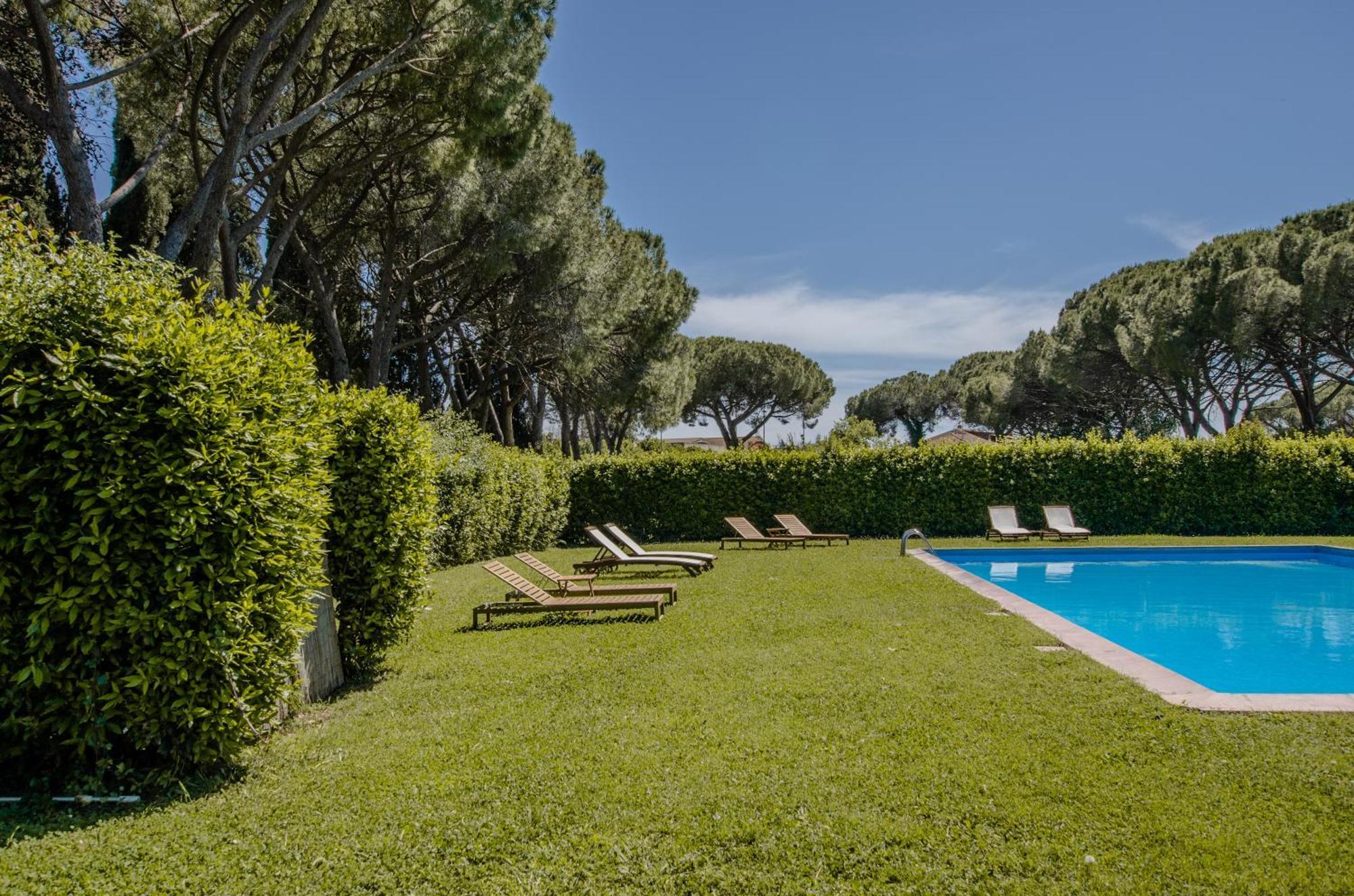 Razza Del Casalone * Grosseto
